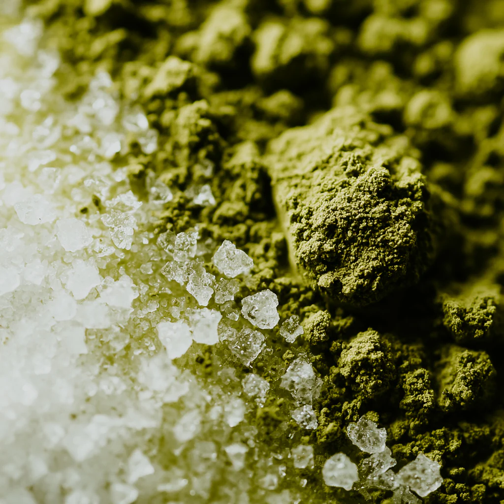Matcha Sugar | Fragrance Oil