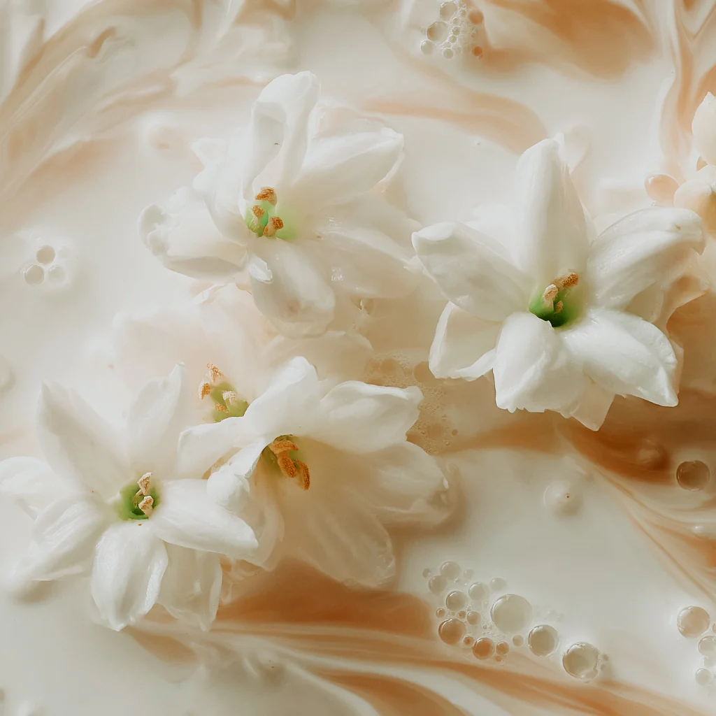 FLORAL | BOTANICAL