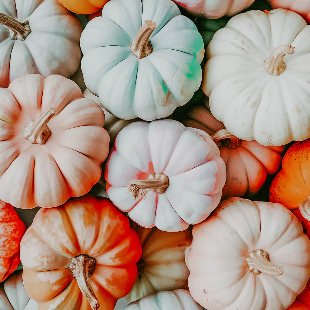 Pastel Pumpkins (Seasonal) | Fragrance Oil