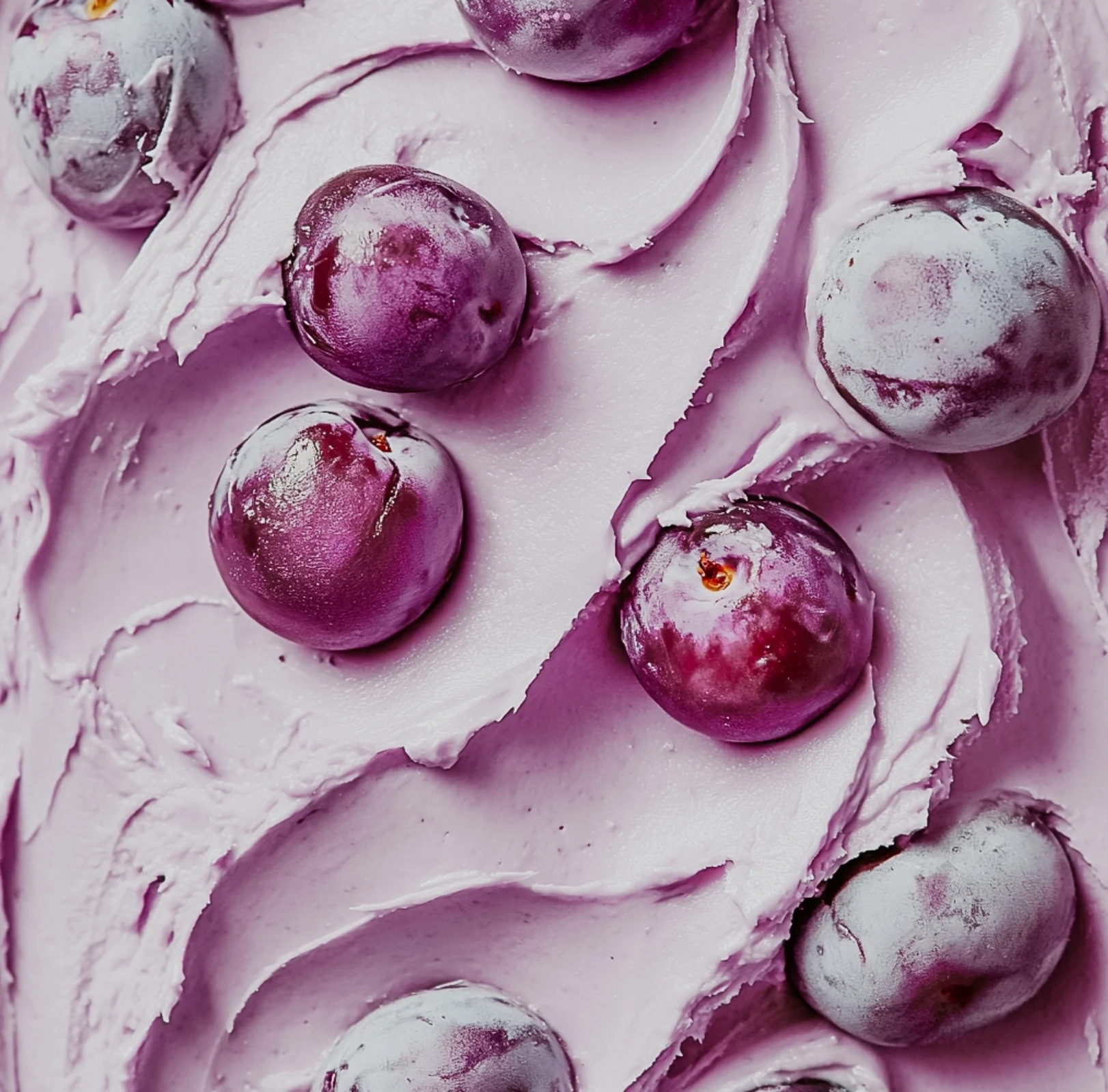 Plum Butter & Sandalwood | Fragrance Oil