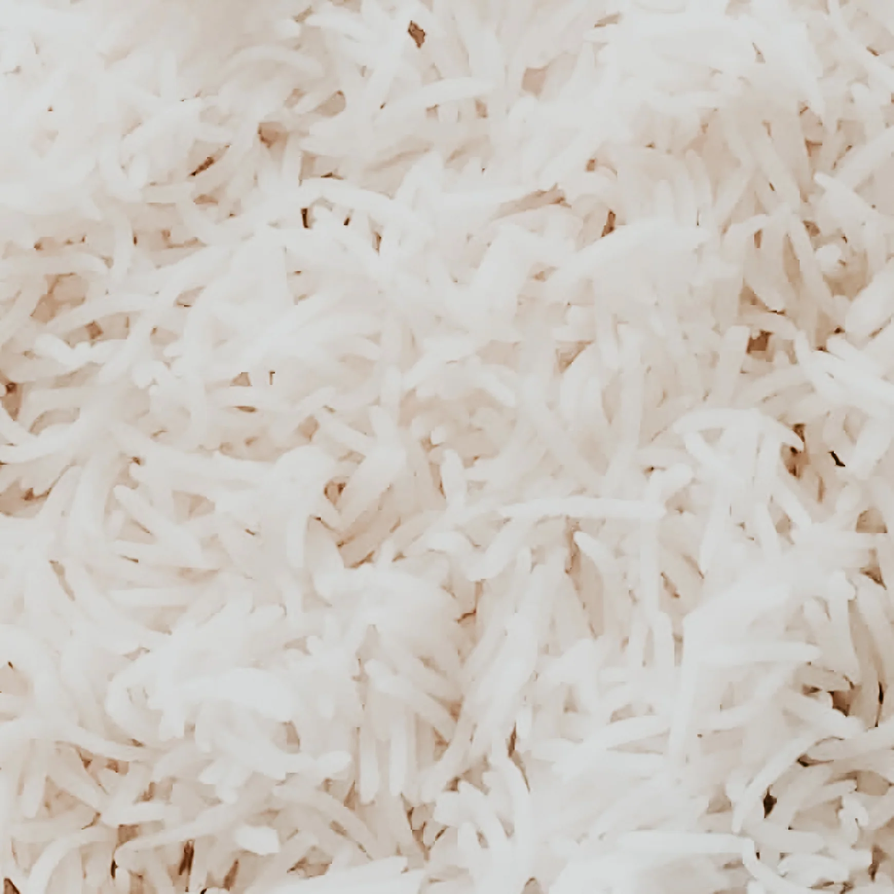 Rice Musk | Fragrance Oil