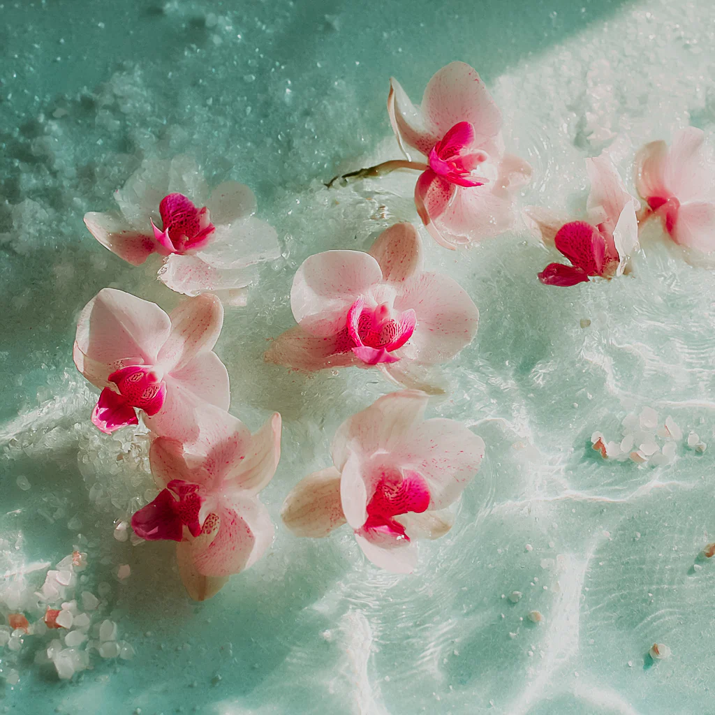 Spa Orchid | Fragrance Oil