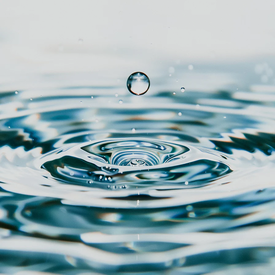 Water | Fragrance Oil